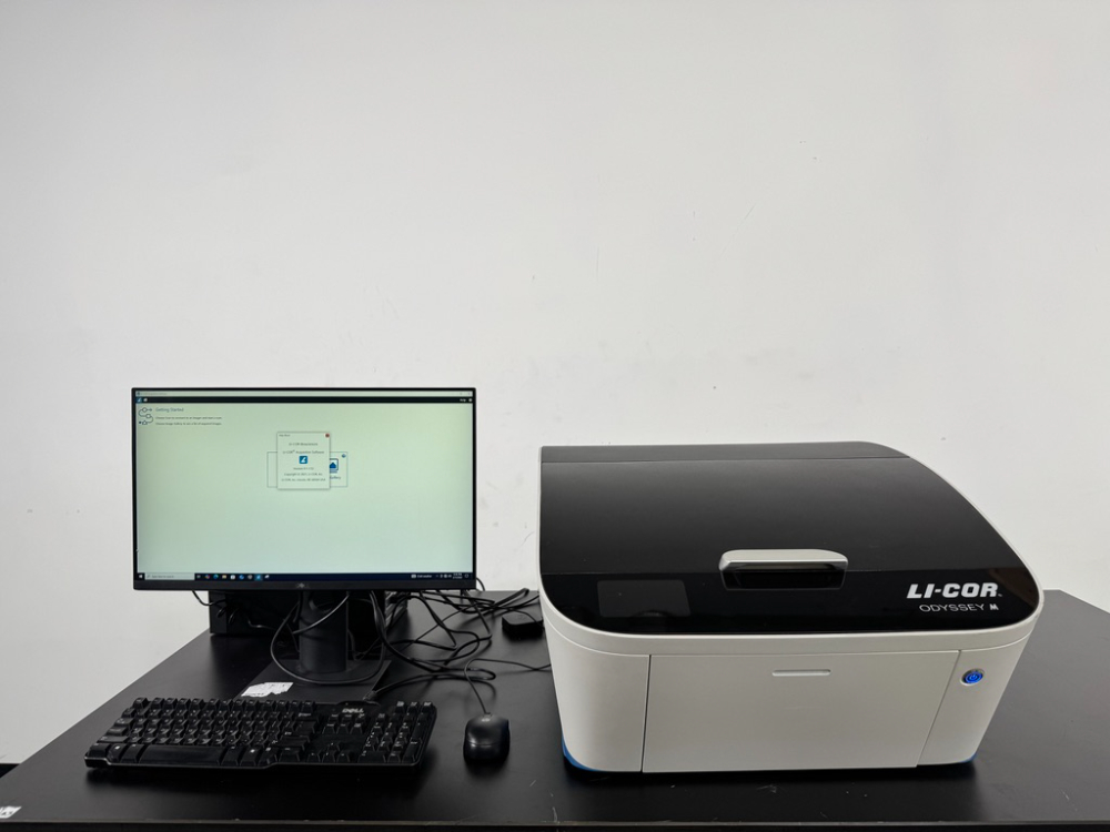 Image of Li-Cor Odyssey M Imager